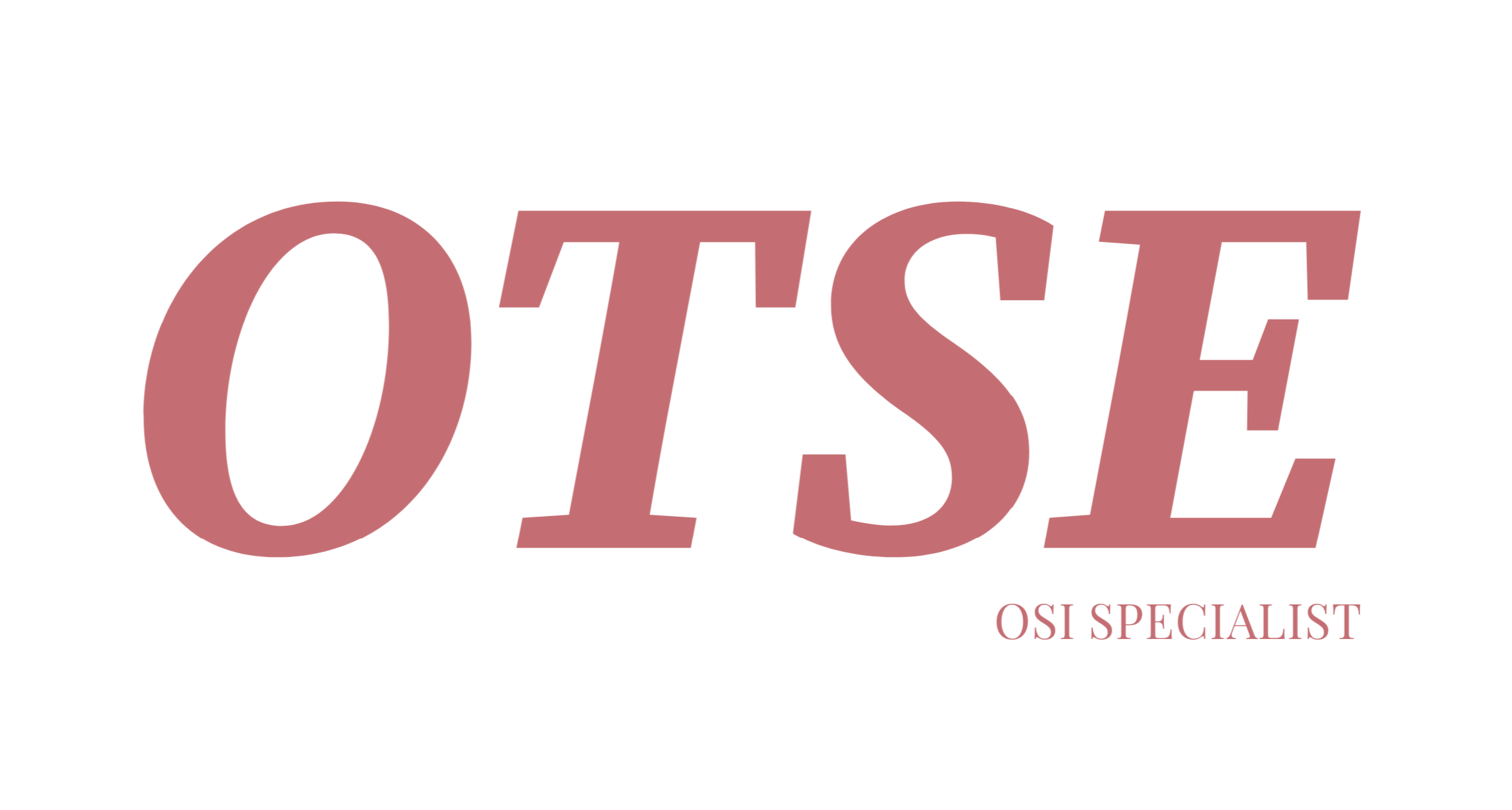 OTSE logo
