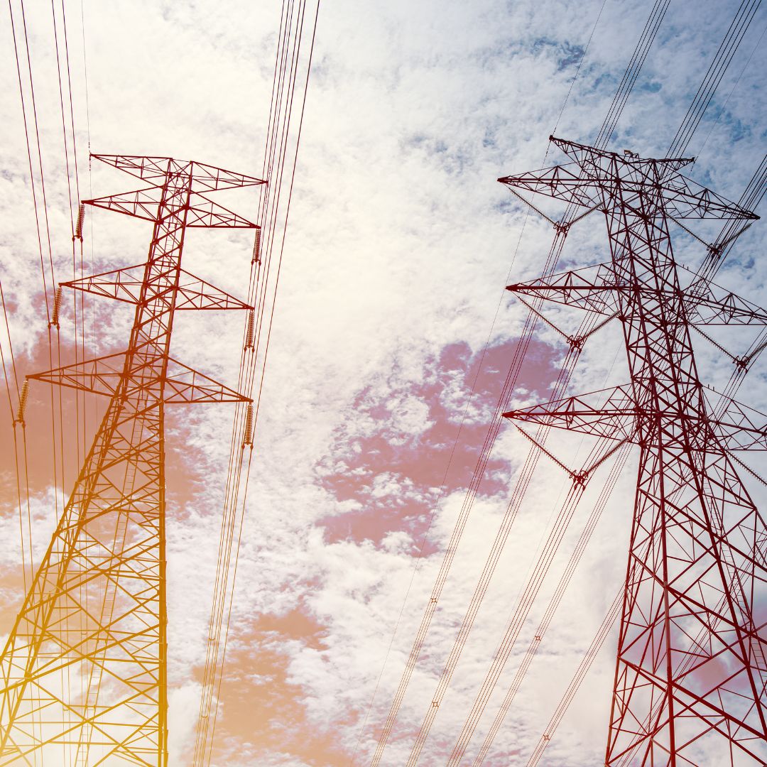 Hantt & Co (1) hantt and co nz